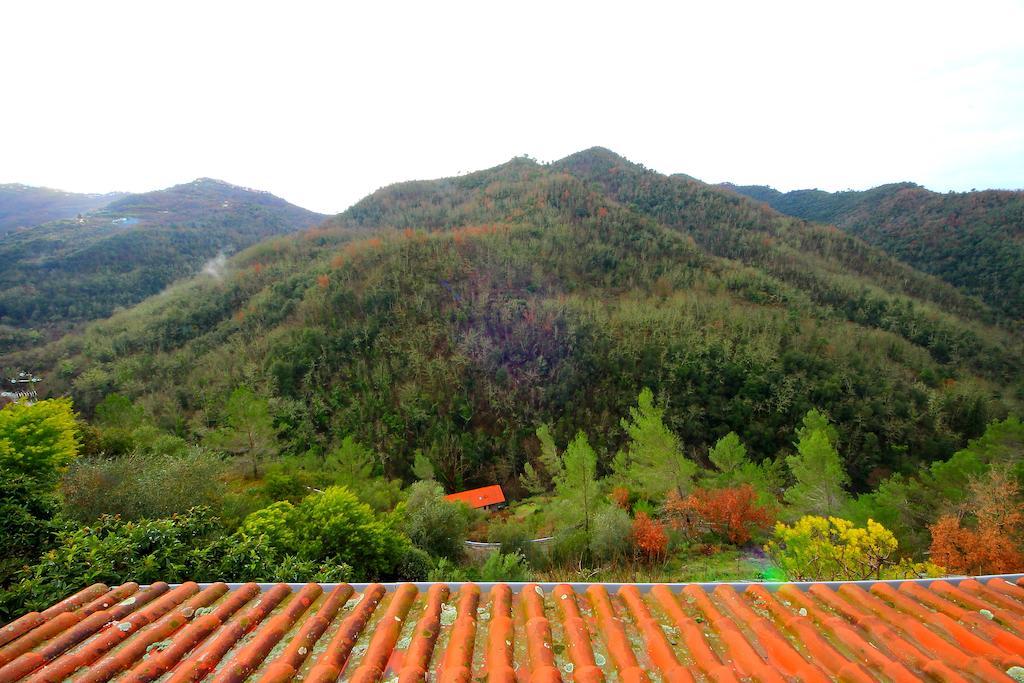 La Favorita Apricale B&B & Ristorante الغرفة الصورة